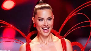 Adriana Lima Net Worth